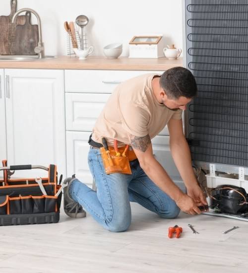 Fridge Regas